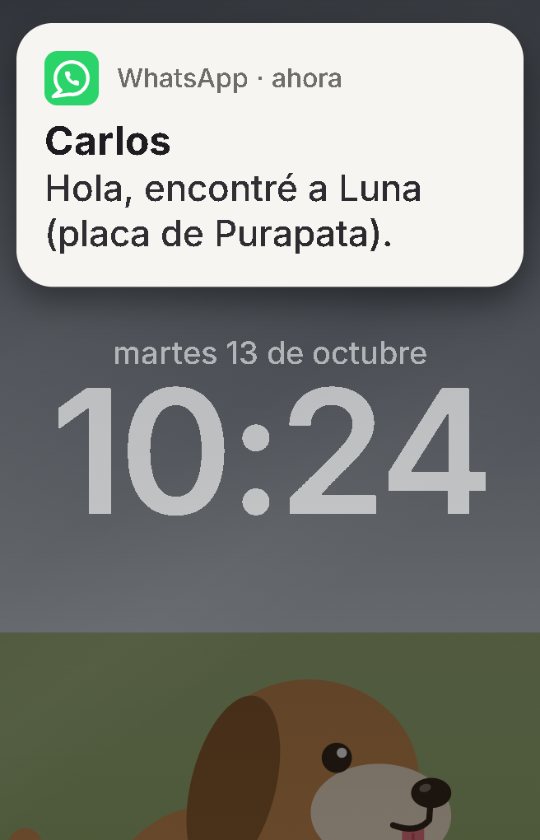 Pantalla de bloqueo del celular de Ana con un mensaje de WhatsApp de Carlos: «Hola, encontré a Luna (placa de Purapata).»